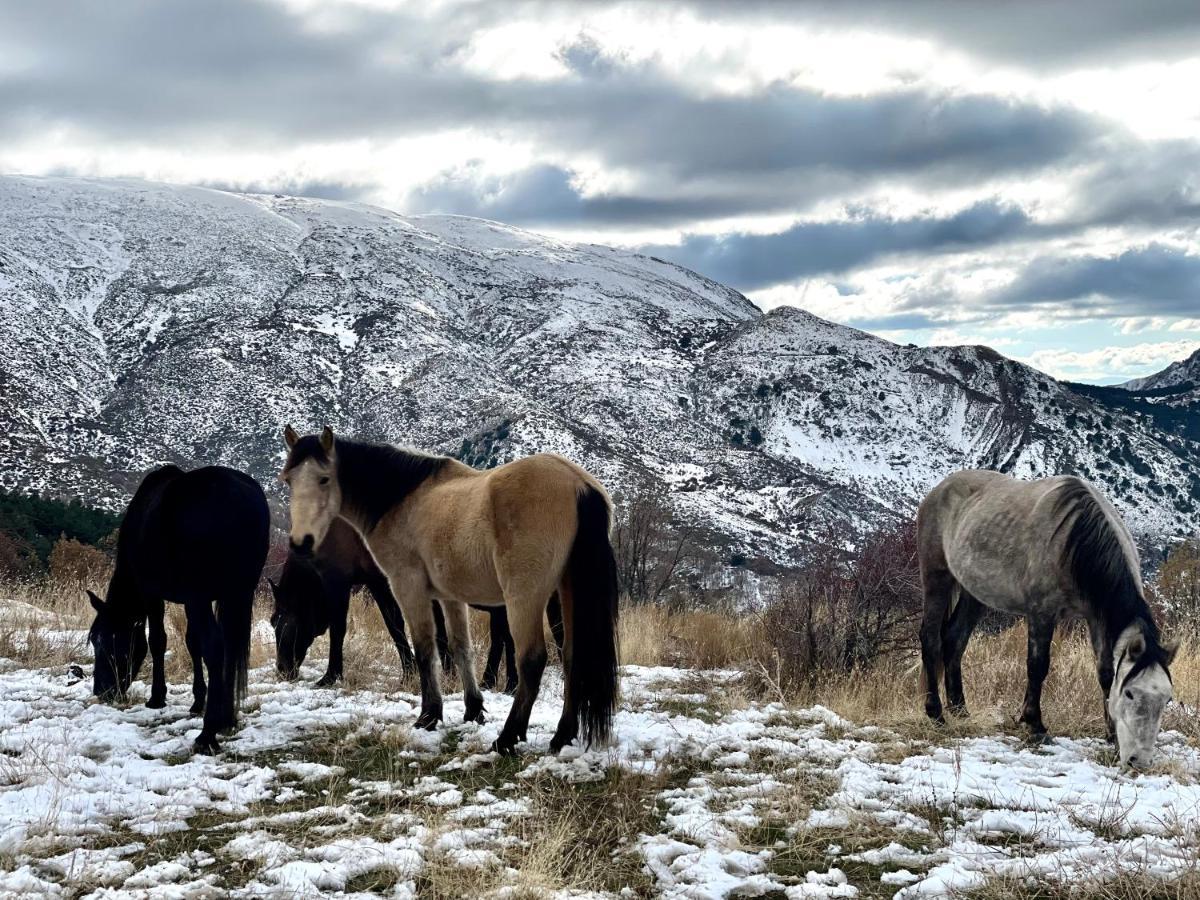 Monte Oiz Con Wifi Y Parking Gratis Lägenhet Sierra Nevada Exteriör bild